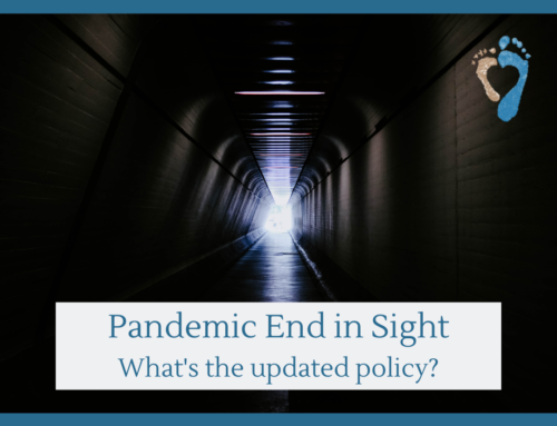 Pandemic End in Sight