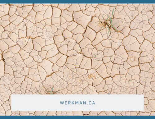 Winter Foot Rescue for Cracked Heels