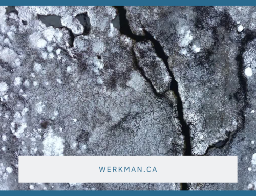 The Real Reason Your Heels Are Cracked