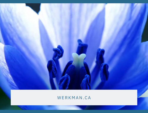 Stepping into Spring